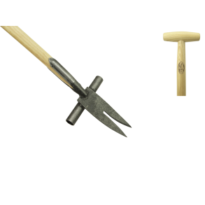 DeWit Lugejern, PROF, kraftigt