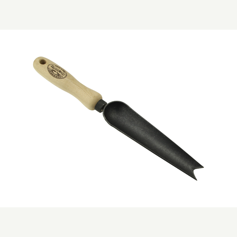 DeWit� Lugeske / planteske