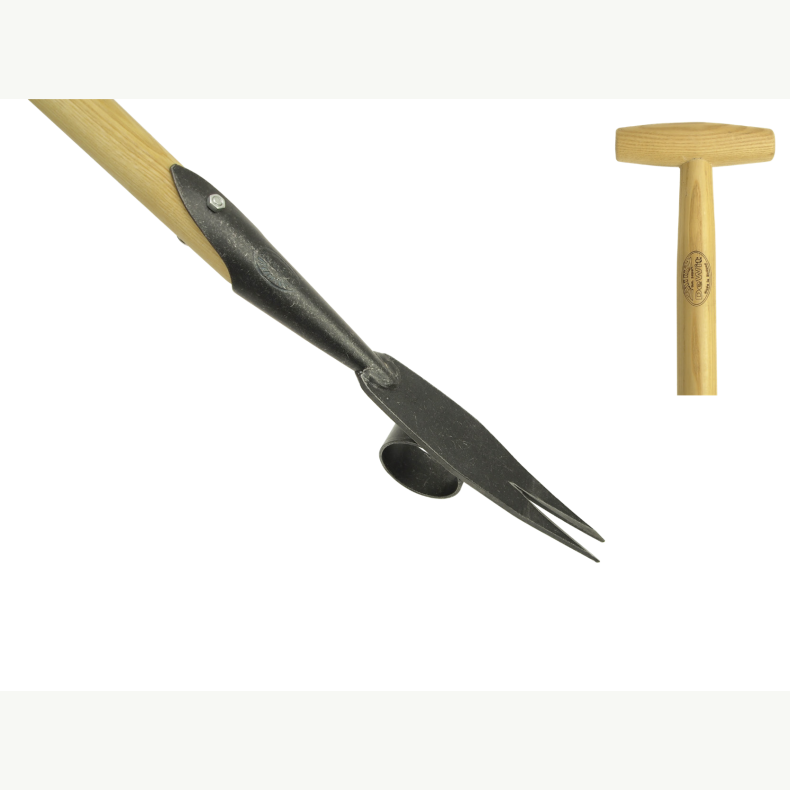 DeWit� MEDI Lugejern