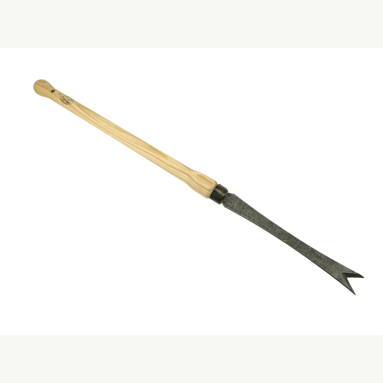 DeWit� Lugejern, V-sk�r