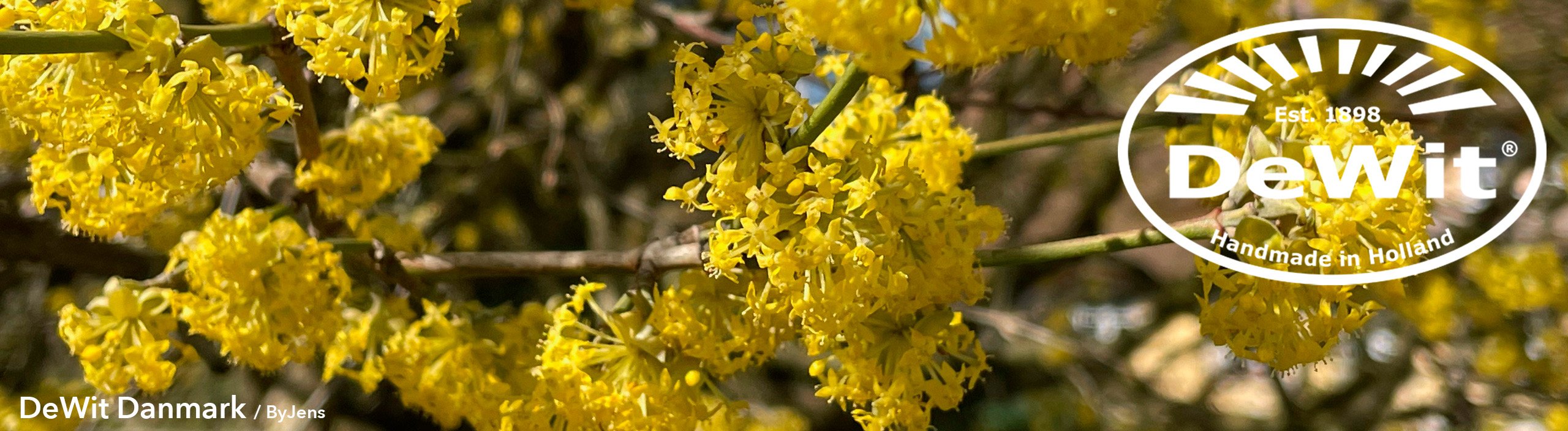 DeWit&reg; Haveredskaber