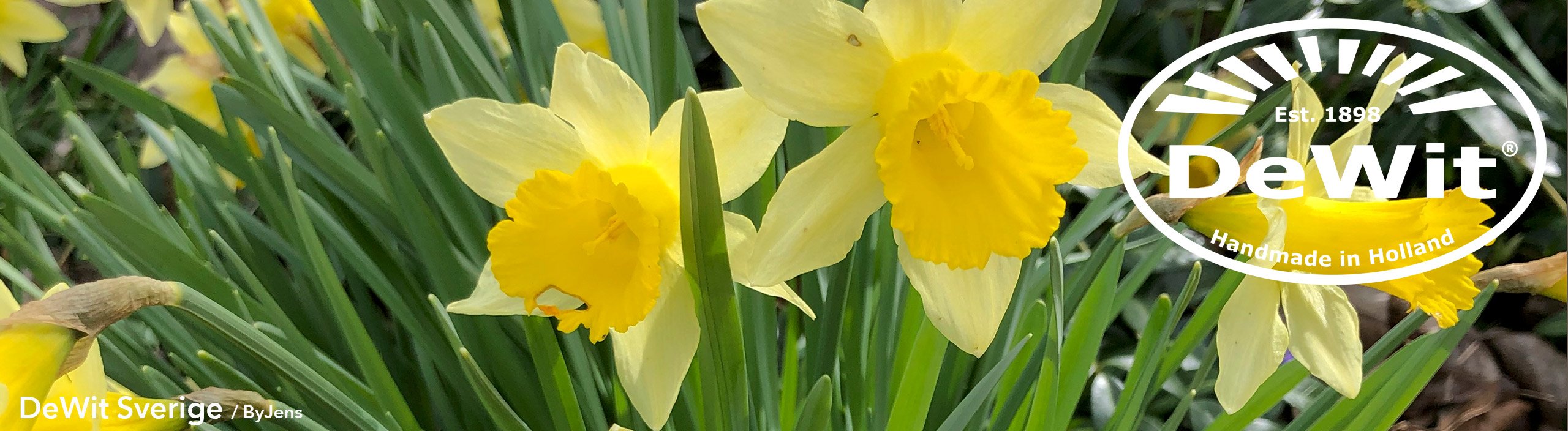 DeWit&reg; Tr&auml;dg&aring;rdsredskap