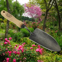 DeWit� Classic Planteske