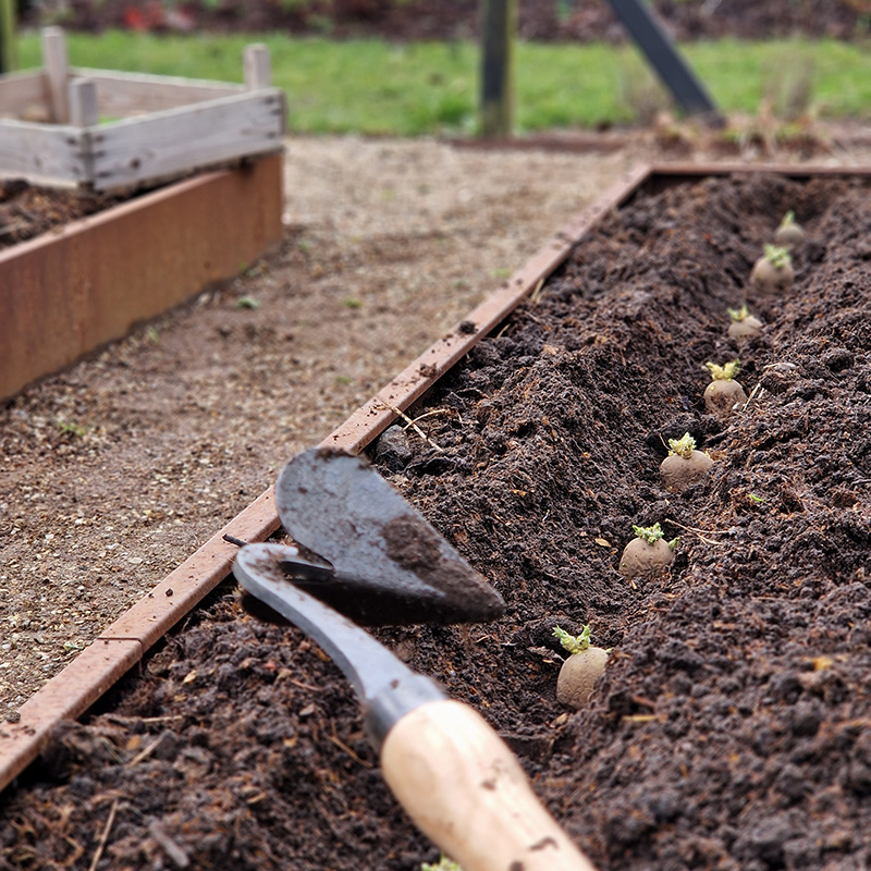 Tr&aelig;kning af riller til kartofler med DeWit h&aring;ndplov i h&oslash;jbed