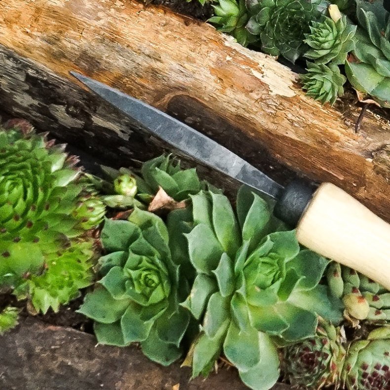 DeWit&reg; MIKRO Plantekniv