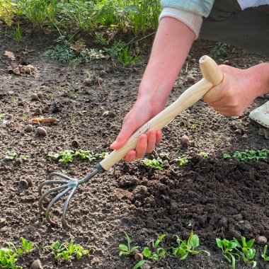 DeWit® Serie ARTRITIS