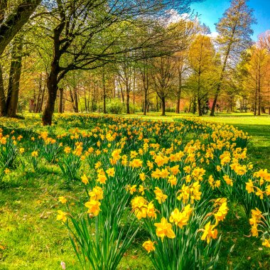 Skift til Have & Park