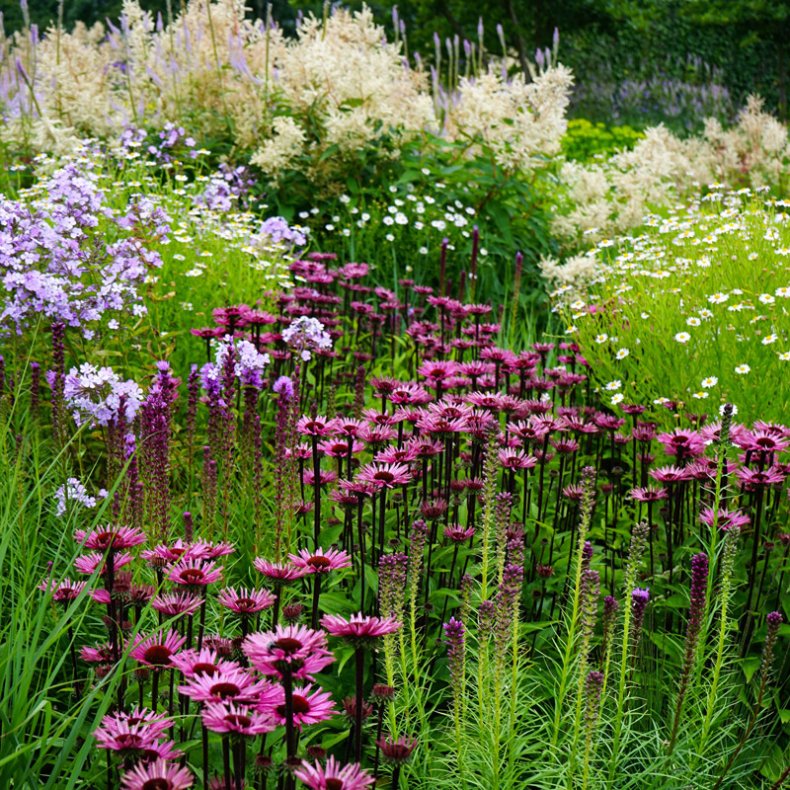 DeWit� Classic Kompostskovl