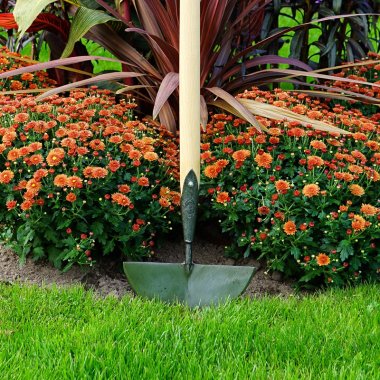 DeWit®<br>Allround & Specielle