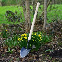 DeWit WD Amerikansk miniskovl