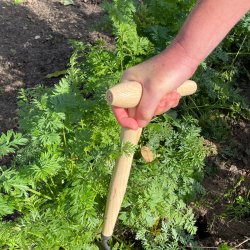 DeWit Bedhakke, med P-greb