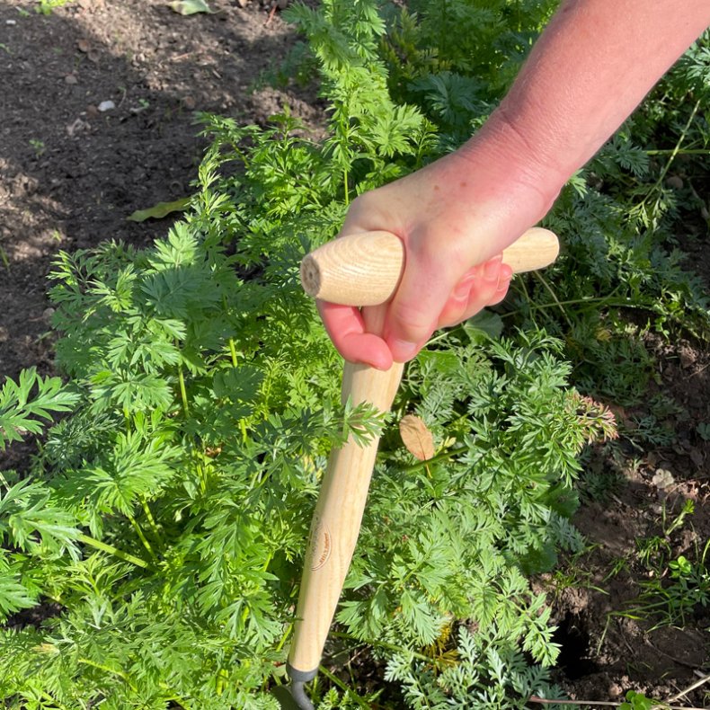 DeWit Bedhakke, med P-greb