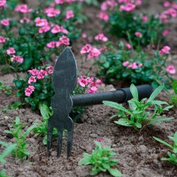 DeWit Weed Warrior No. 3