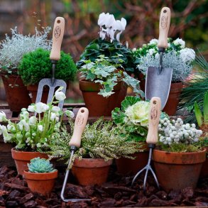 DeWit&reg; Cape-Cod lugejern<br>De Fantastiske Fire