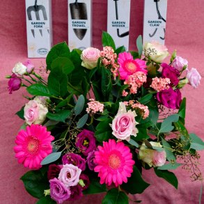 DeWit&reg; Classic Plantegreb<br>De Fantastiske Fire