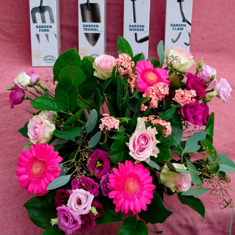 DeWit&reg; Classic Plantegreb<br>De Fantastiske Fire