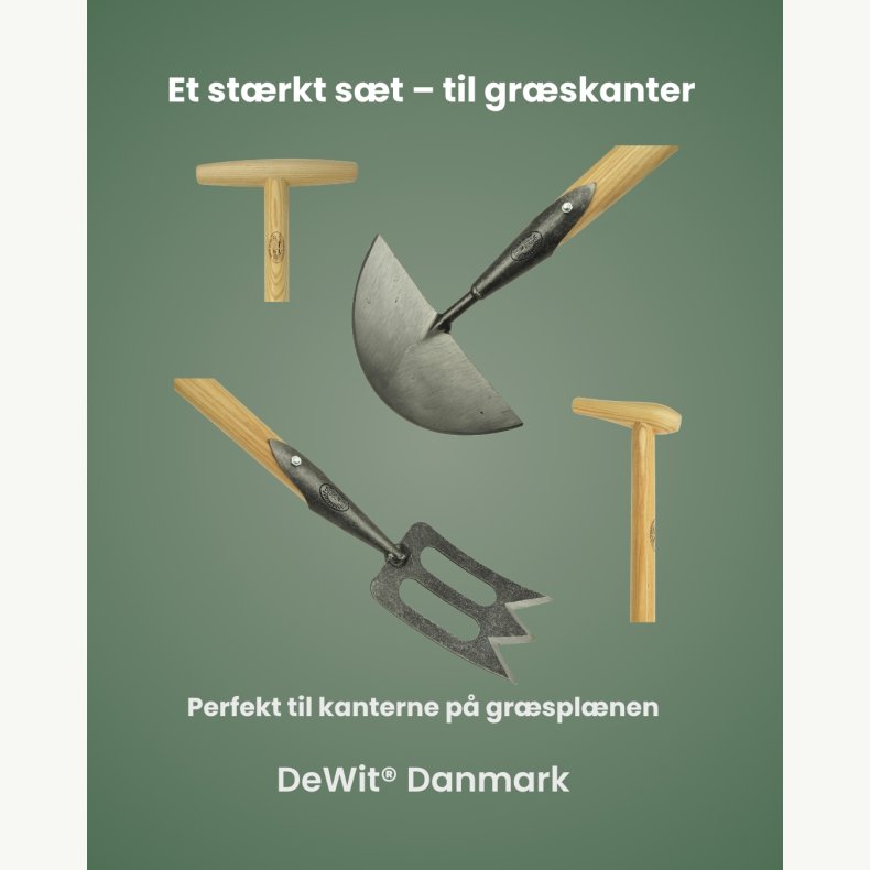 DeWit� Gr�skant